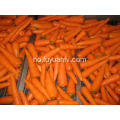 Frisk gulrot grønnsaker til salgs